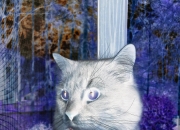 LOL决赛-当末节之王遇上压哨艺术，两种胜利，一种伟大