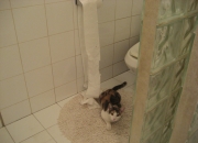 英雄联盟总决赛门票-全面性时代，莫德里奇与黄潜共同诠释现代足球胜利密码