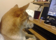 LOL赛事-绝境手术刀，穆勒89分钟的寂静与喧嚣，诠释何为真正的巨星