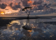 英雄联盟总决赛时间-欧冠风云，红牛狂奔斗牛士，拉什福德纪录之夜耀欧洲