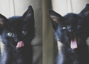 LOL赛事-奥运预演，太阳巅峰对决勇士，库里与杜兰特的命运交叠之战