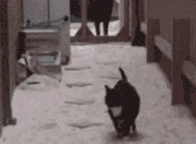 英雄联盟总决赛2025-足球三重奏，努涅斯纪录之夜，伊拉克提前晋级，比利亚雷亚尔悬念终结