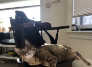 英雄联盟总决赛门票-双重维度制霸，尼斯铁蹄踏破波兰堡垒，萨拉赫引擎轰鸣F1街道赛