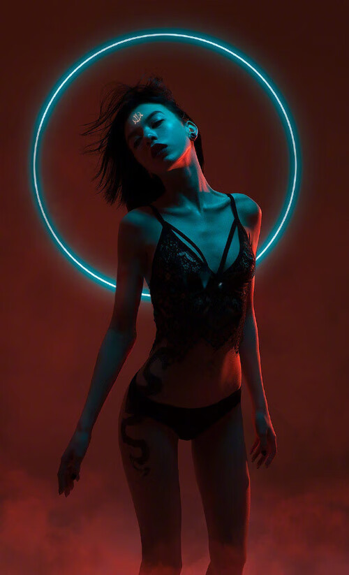 今夜加冕,骑士臣服,国王的无争议统治与王朝的冰冷注脚