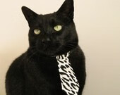 巅峰之战，西亚卡姆斩落深圳，上海滩今夜唯一的主宰