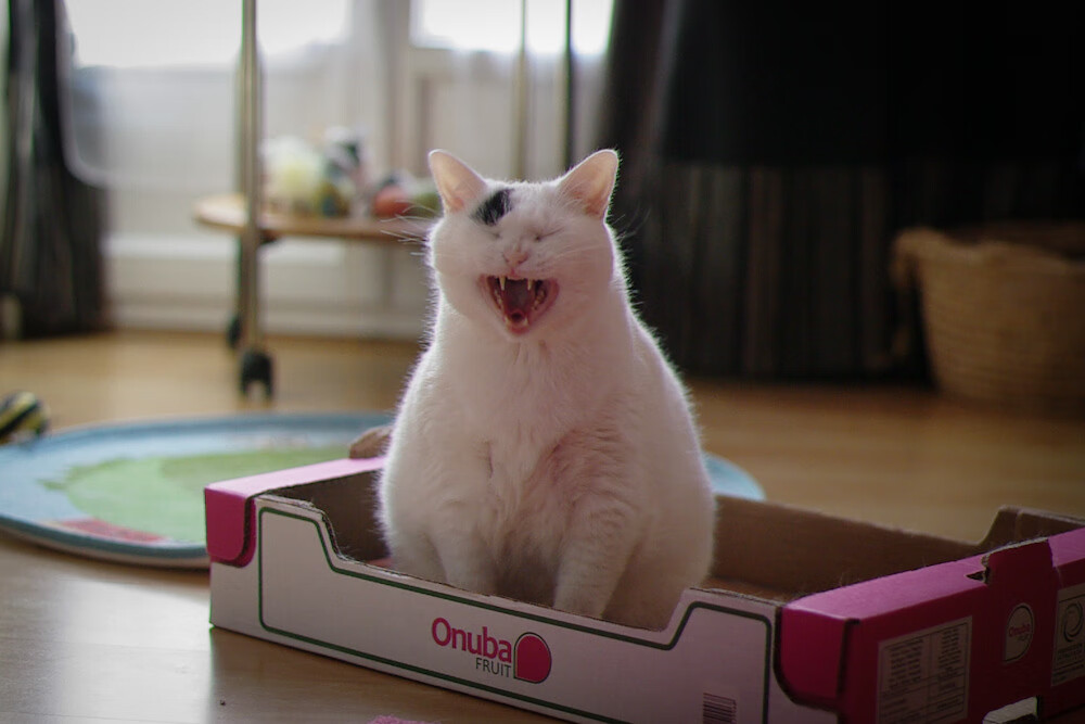 平行宇宙的绿茵场,当拉什福德穿上尼日利亚战袍压制沙特