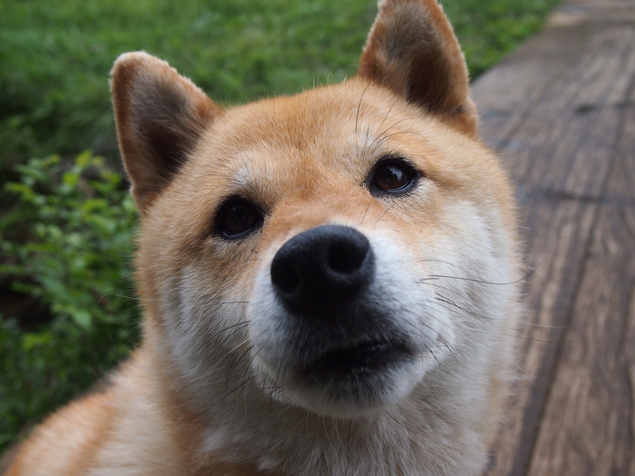 英格拉姆一剑封喉!太阳队最后两分钟窒息攻防,终结浙江队不败神话