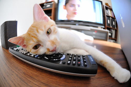 最后一课，季后赛抢七，美国队如何用最残酷的方式粉碎贝蒂斯的美梦？