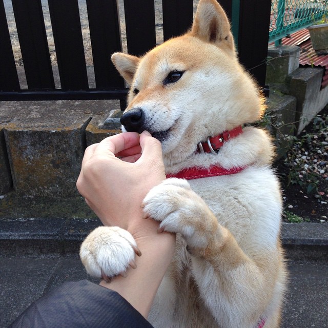 突尼斯之墙倾颓记,当黄喜灿在西班牙心脏撕开铁血防线