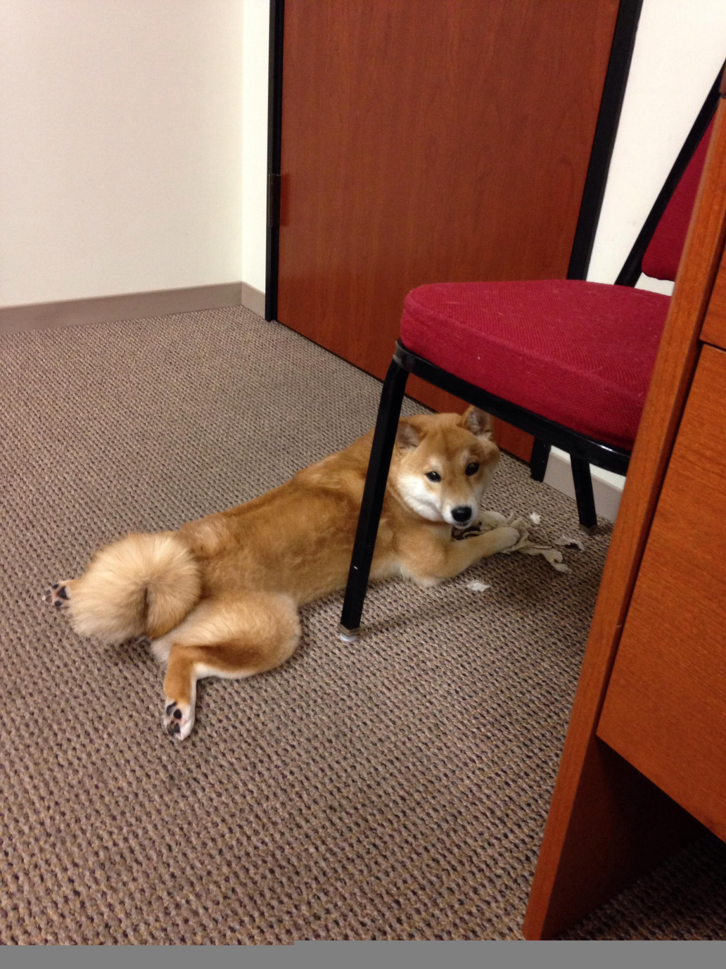 足球双星夜，李刚仁爆发闪耀，厄瓜多尔全面压制智利