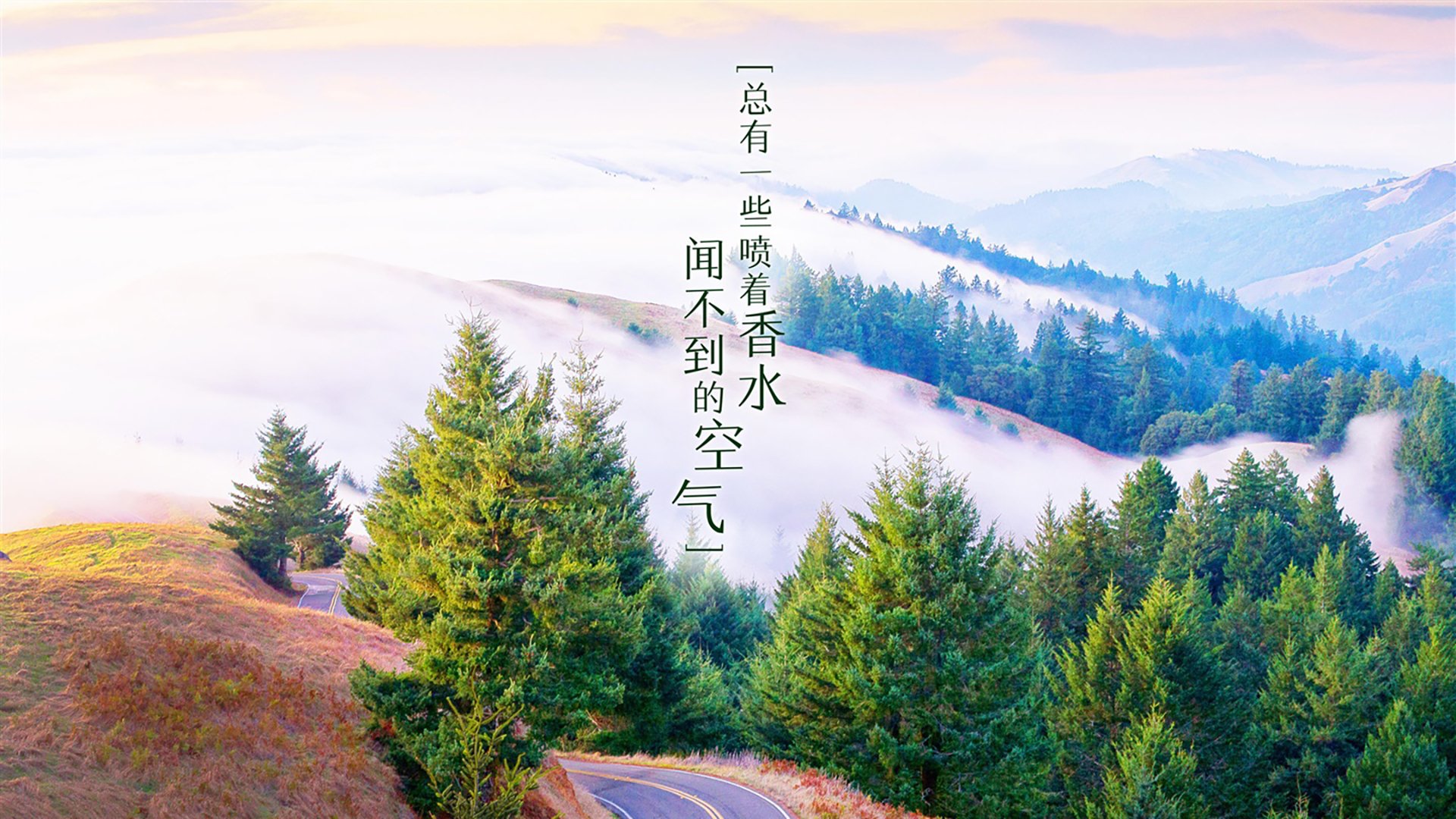 2026世界杯C组惊世之战，沙特铁蹄横扫哥伦比亚，费利克斯孤星耀世，进攻狂潮改写足坛秩序
